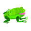 Green Frog by Eric Carle - Painting on Canvas-363726959