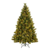 Carolina Extra Full Green Tree Family Flocked/Frosted Christmas Tree and Pinecones