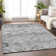 Premium Machine Washable Prisco Gray Rug