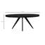 Parq Oval Dining Table-463959601