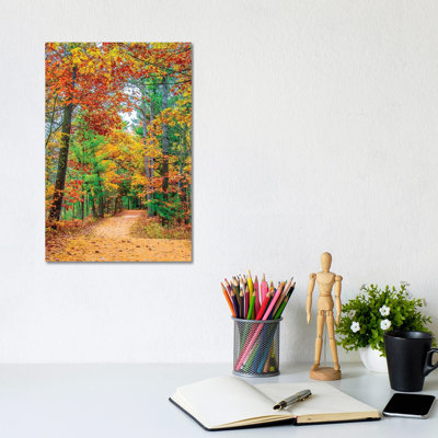 Road to Forest 1 Piece Wall Art on Canvas