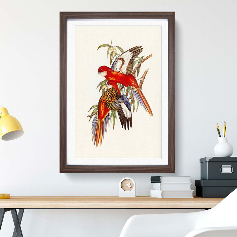Fiery Parakeets by Elizabeth Gould - Picture Frame Art Print, Walnut Framed, 36cm H x 27cm W x 2cm D