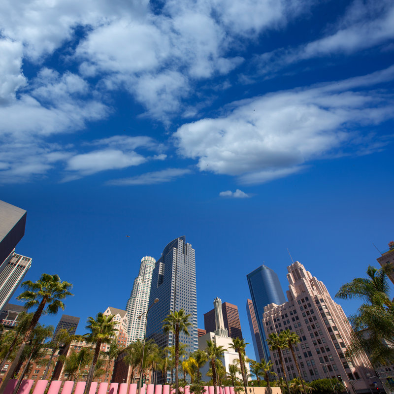 Feisal Los Angeles Downtown, H 12 po x l 12 po