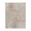 Wool Oriental Area Rug in Ivory