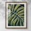 Nosturnal Monstera I-600300919-600300918