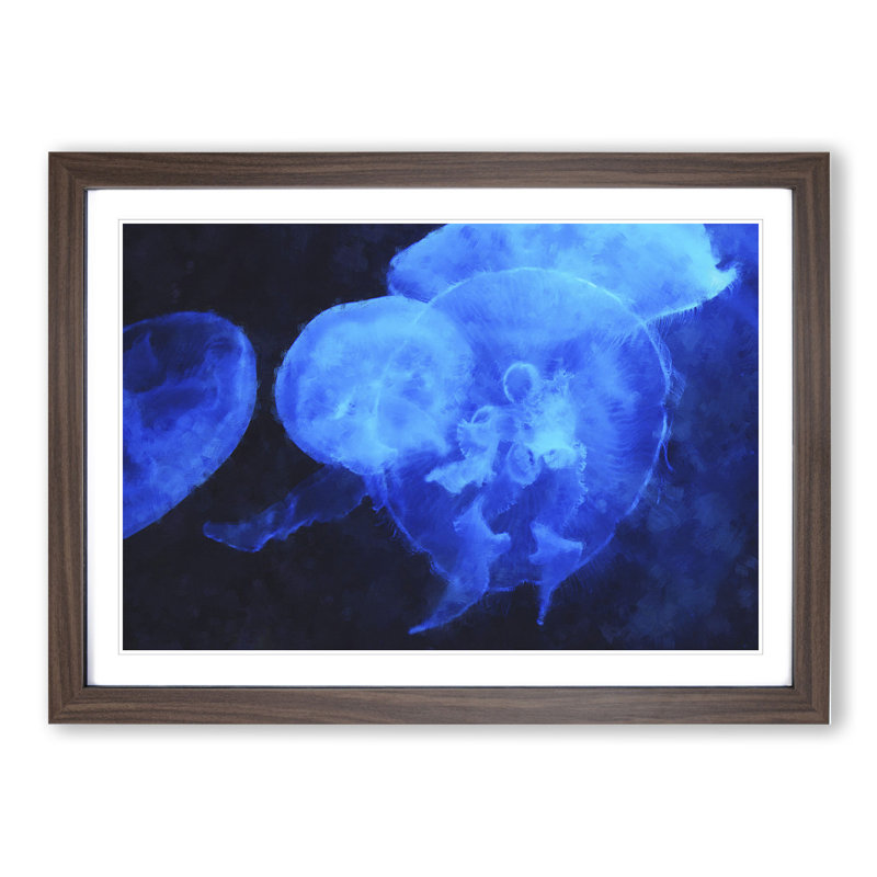 Jellyfish Vol.1 - Picture Frame Painting, Walnut, 36cm H x 48cm W x 2cm D