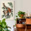 Pl 97 Little Screech Owl - impression sur toile tendue-829584144