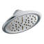 ExactTemp Rain Shower Head with Immersion-1379382119