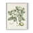 Cadre simple blanc