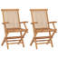 Chaise bistro d'extérieur pliante avec accoudoirs