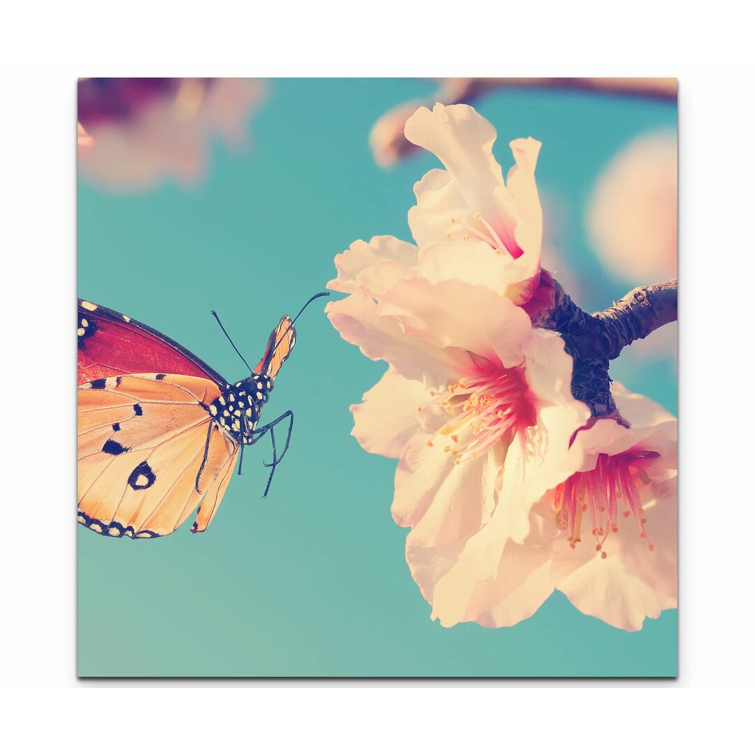 Leinwandbild Schmetterling an einer Blume