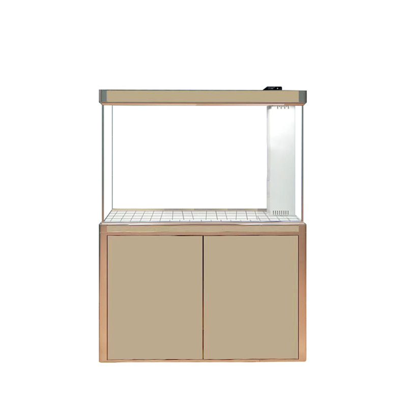 Minimalist Modern Rectangular Eco Aquarium Tank