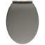 Siège de toilette à fermeture rapide vidaXL gris ovale à fermeture rapide-79063363