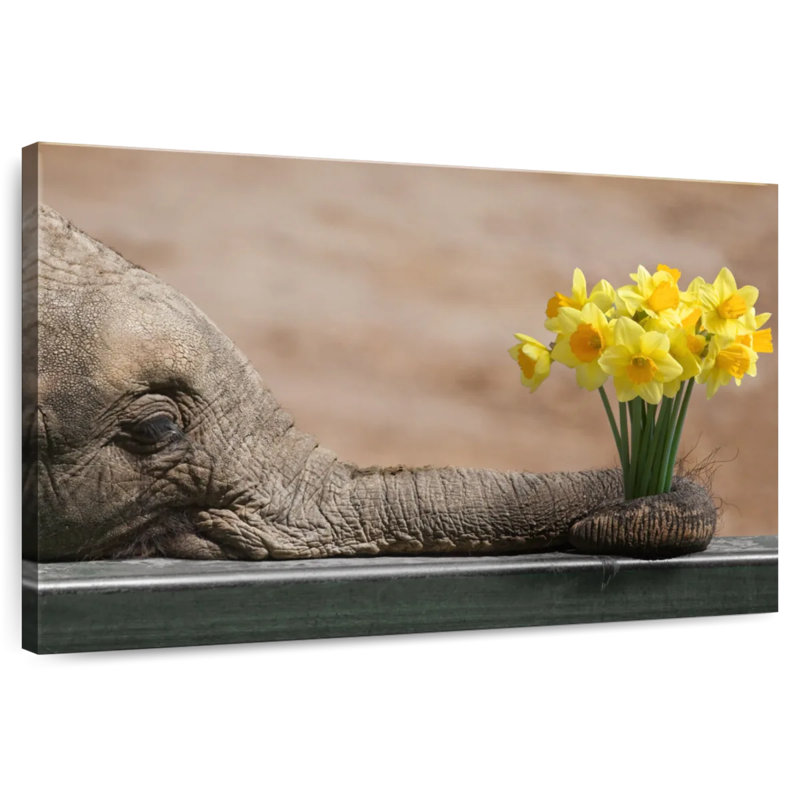 Elephant And Yellow Daffodil, 30" H x 45" W