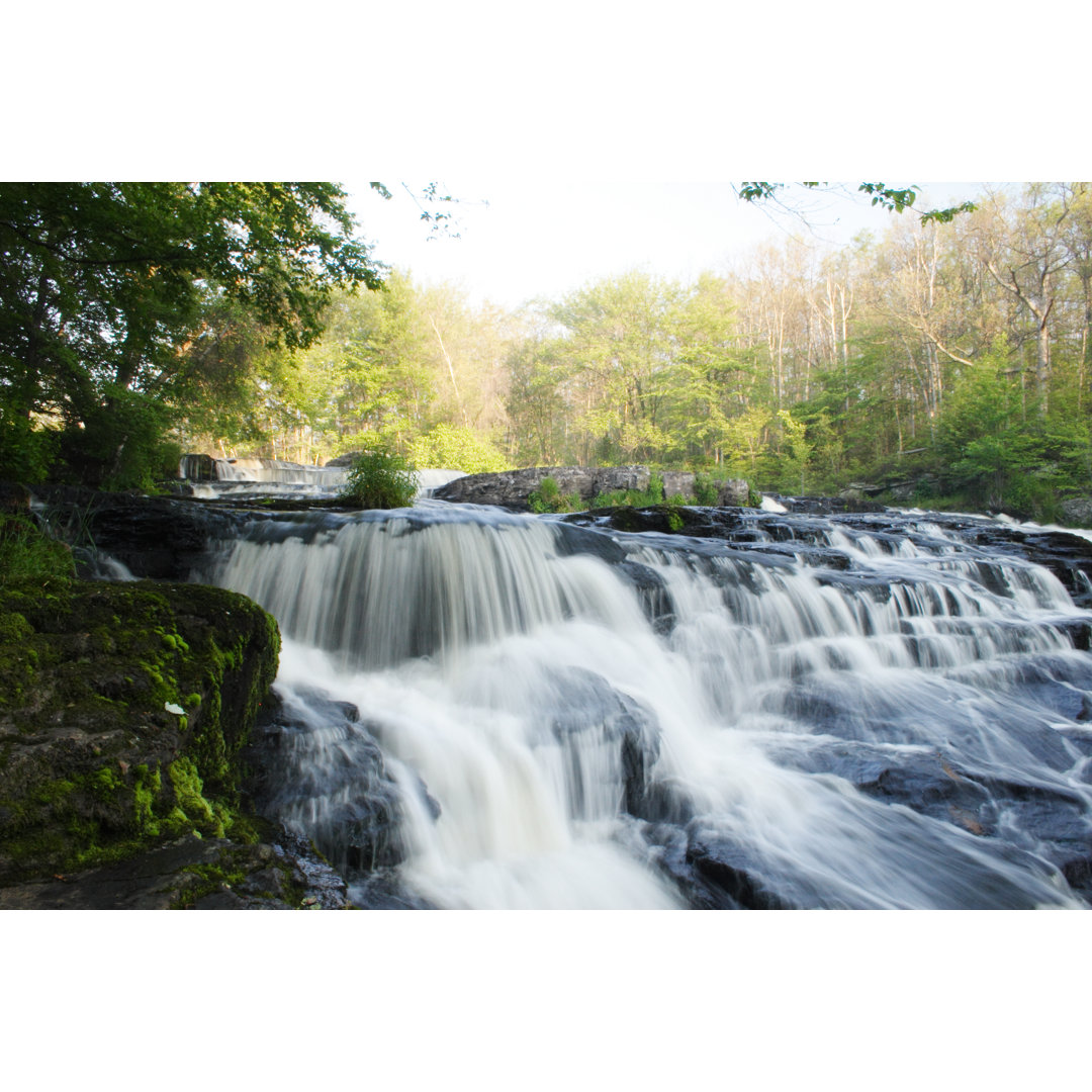 Shohola Falls von Genekrebs - Kunstdrucke auf Leinwand