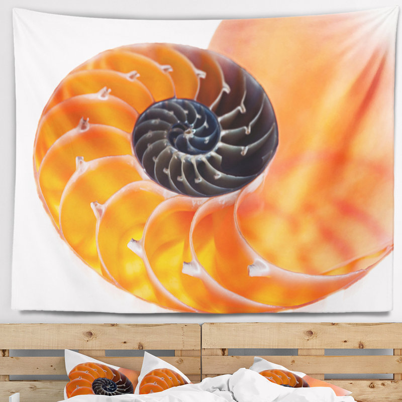 Tapisserie conautilus coquille avec accessoires suspendus inclus, H 78 po x l 92 po