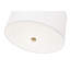 Luminaire suspendu moderne en or 18 pouces Linden-123223176