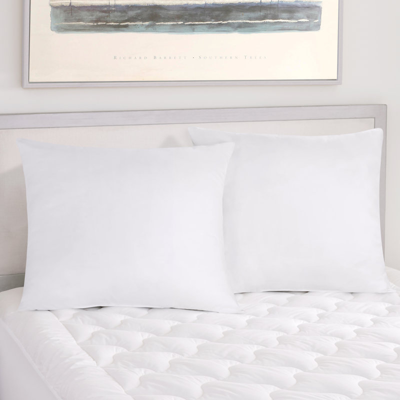 Regal - Euro Pillow Oversized Euro Pillow Pair