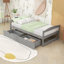 Lit plateforme simple avec tiroirs Comrie-1724863283