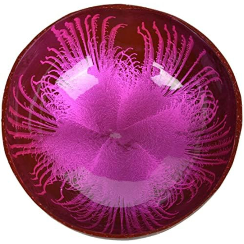 Natural Natural Coconut Bowl, Pink