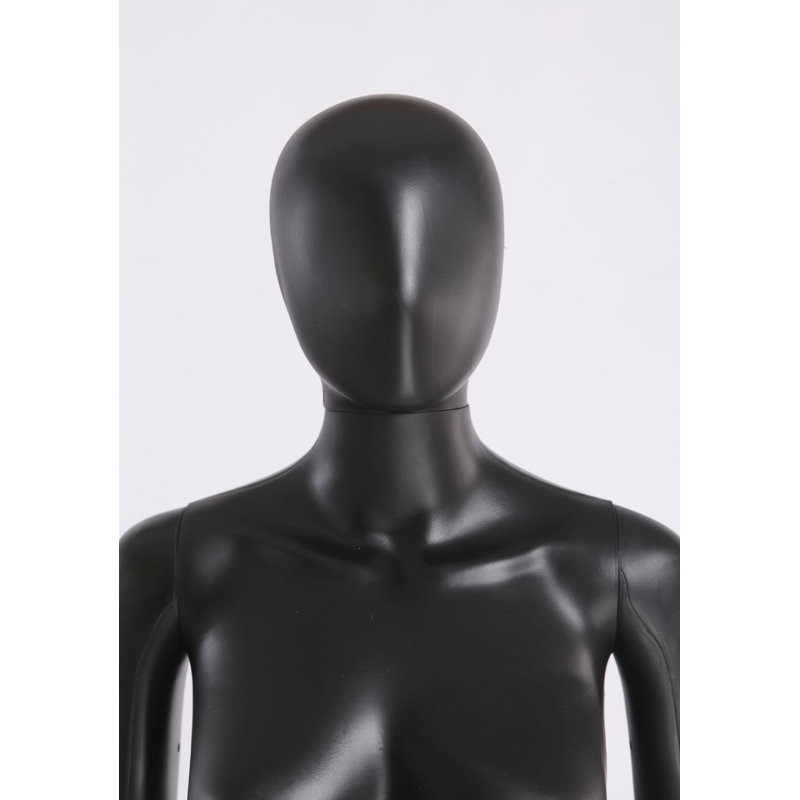 Anikesh Statue Decorative Object, Black