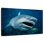 Brampt Bull Shark In Action