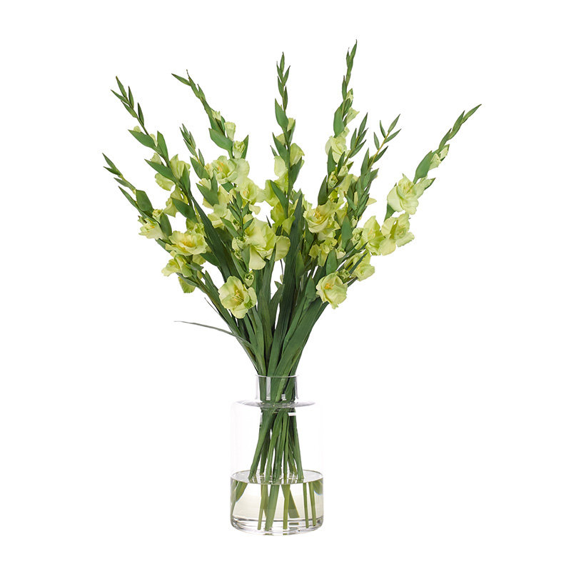 Gladiola, Green, Glass Vase, 26wx25dx39h
