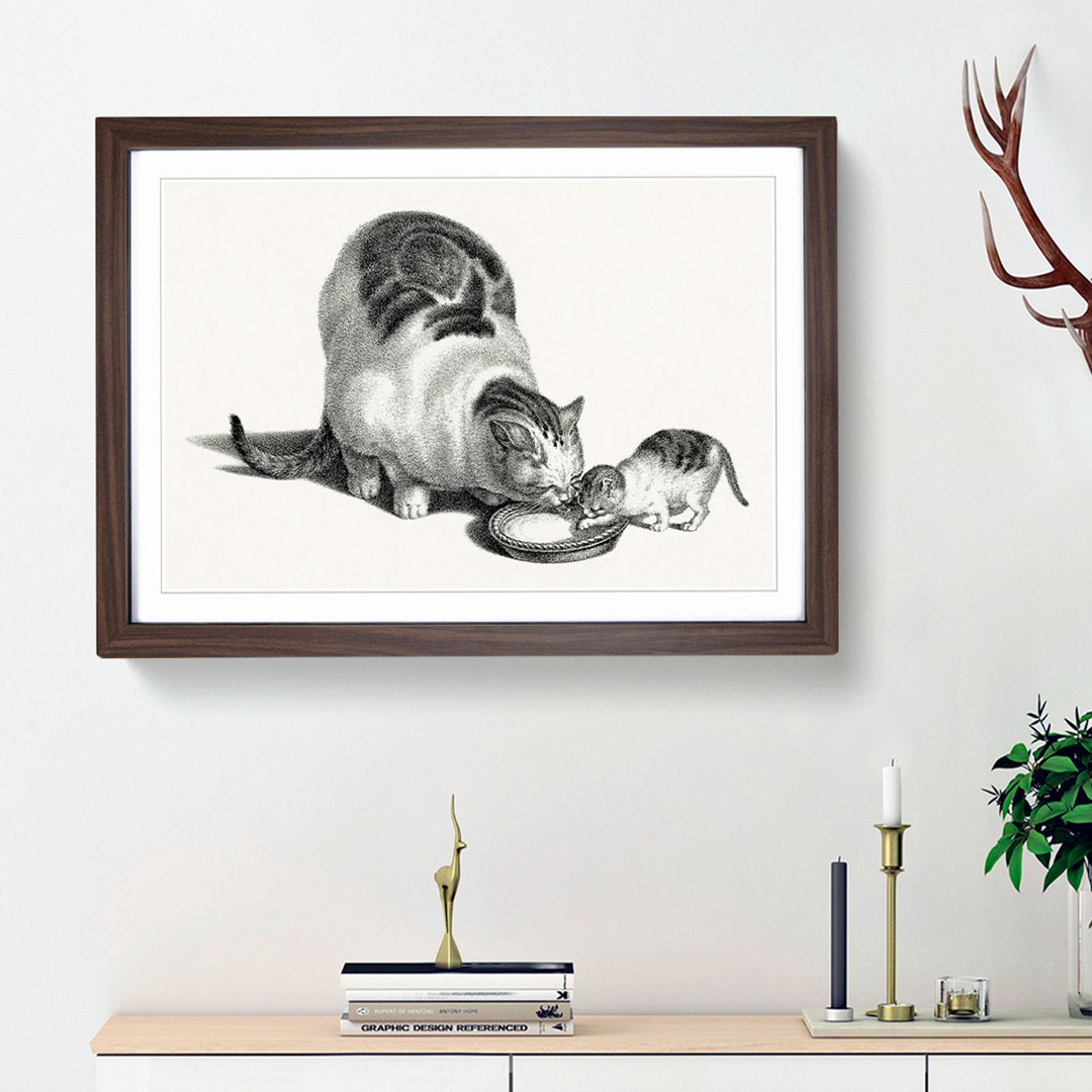 Cat & Kitten Drinking by Gottfried Mind - Framed Print