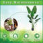 Olive artificielle pour la décoration intérieure