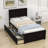 Elliekate Kids Twin with Drawers-1776615416