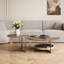 Ensemble de tables basses Modern Modern