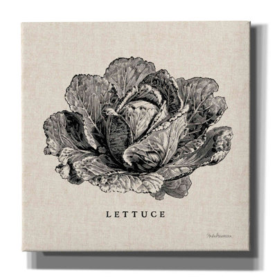 " Burlap Vegetable BW Sketch Lettuce "