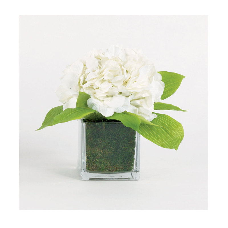 Faux hortensias blancs simples dans un vase en verre avec mousse préservée