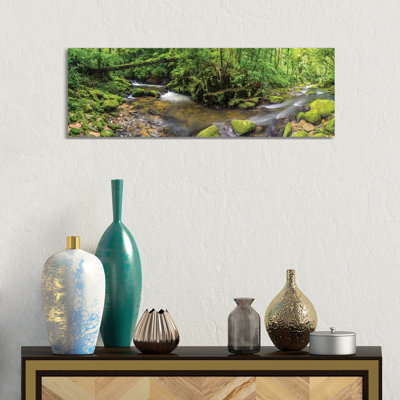 Jungle Panorama I by Glauco Meneghelli - Print on Canvas