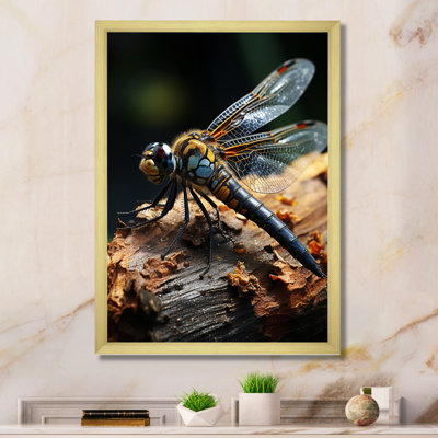 " Brown Dragonfly Portrait Vibrant "