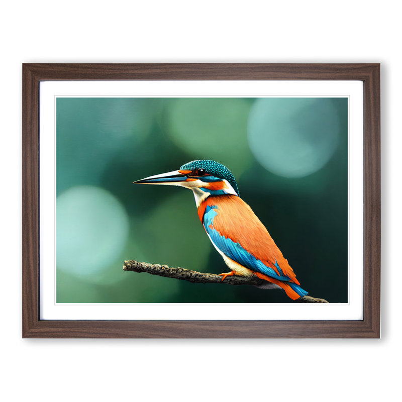 Splendid Kingfisher Bird - Framed Print, 46cm H x 64cm W x 2cm D, Walnut