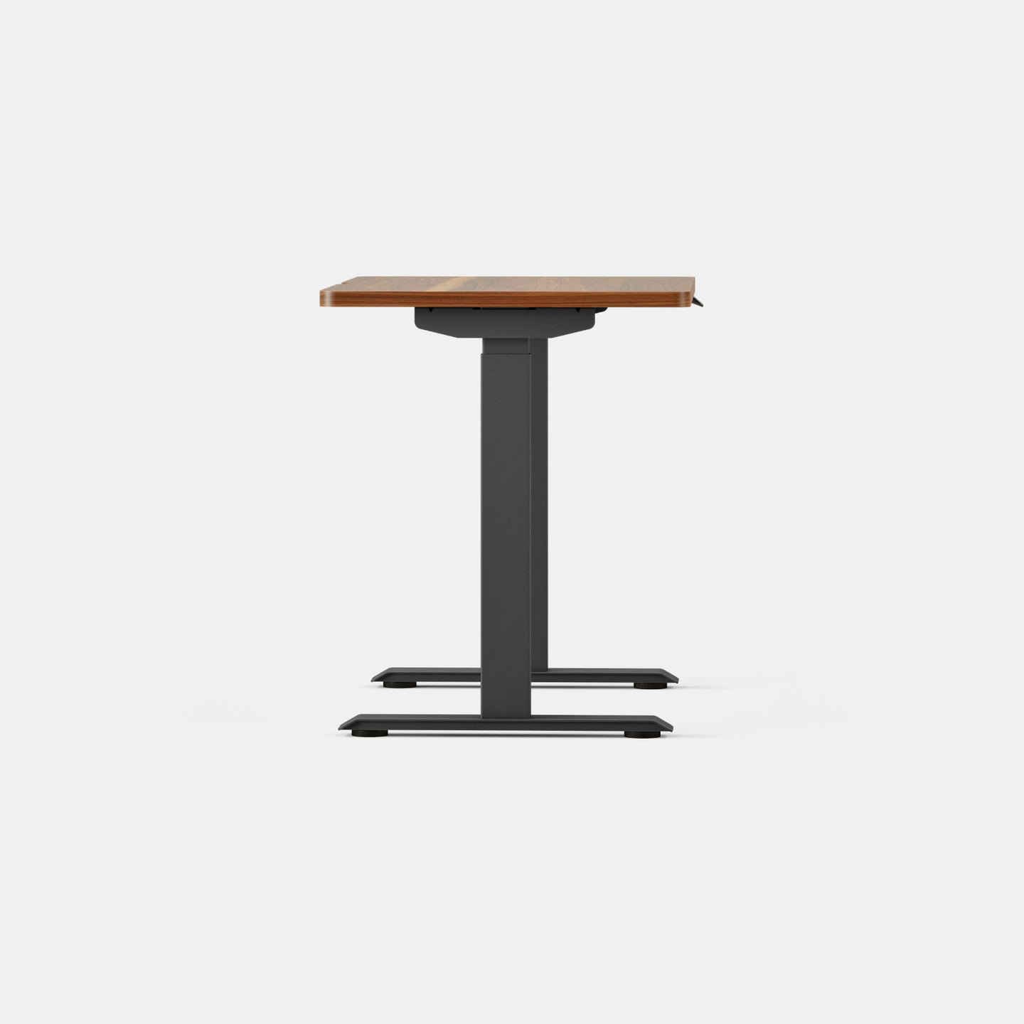 Duo Standing Desk, 47.3" H x 36" W x 24" D, Charcoal, Walnut