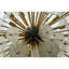 Lustre fantaisie en laiton 30 lumières Bijoux-330502995-330502982-298412943