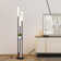 Shirehampton 169cm Black LED Tray Table Floor Lamp