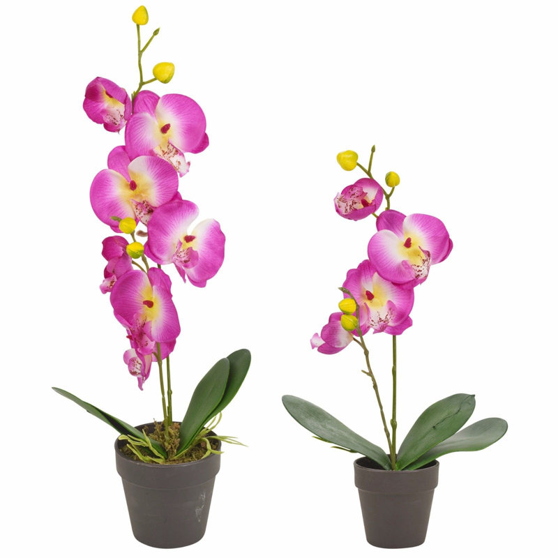 38cm Faux Flowering Plant in Pot, 38cm H x 10cm W x 9cm D, Purple