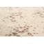 Polka Dots Area Rug-15615396