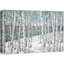 Aspen, bouleau blanc, forêt, hiver, paysage, plantes, nature, paysage rustique, frais, BA03-99543065-100095182