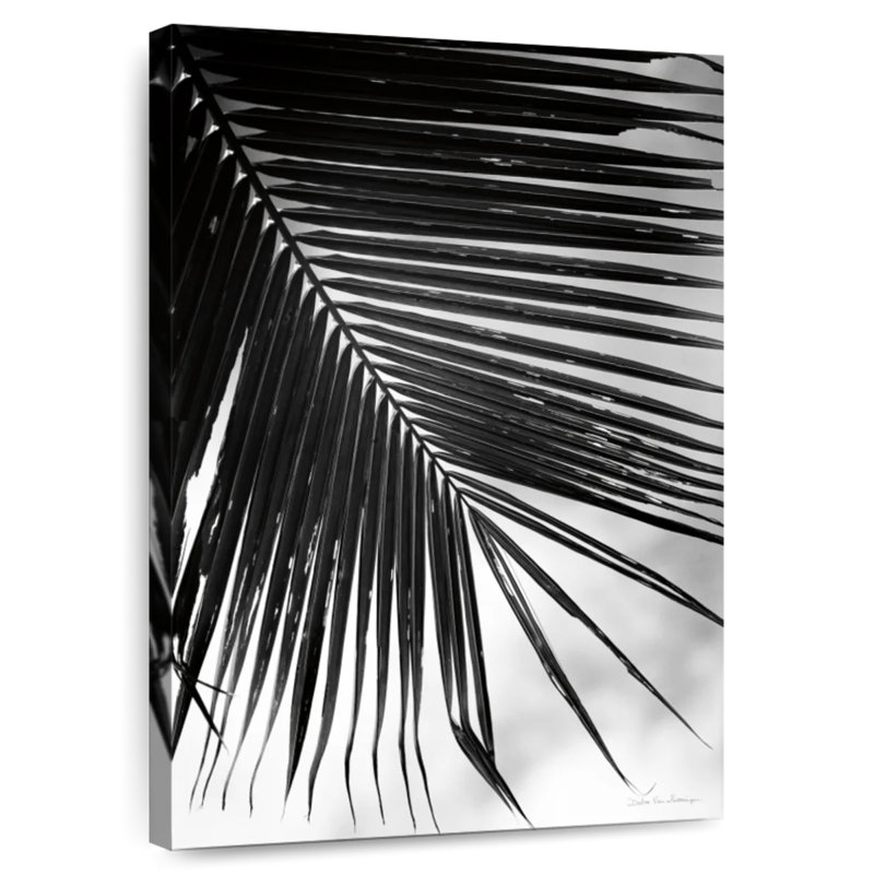 Harnek Palm Frond II, H 36 po x l 24 po