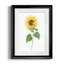 Tournesol II - imprimé-440758248-440758251