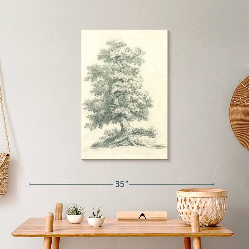 Tree Study II, 24" H x 16" W