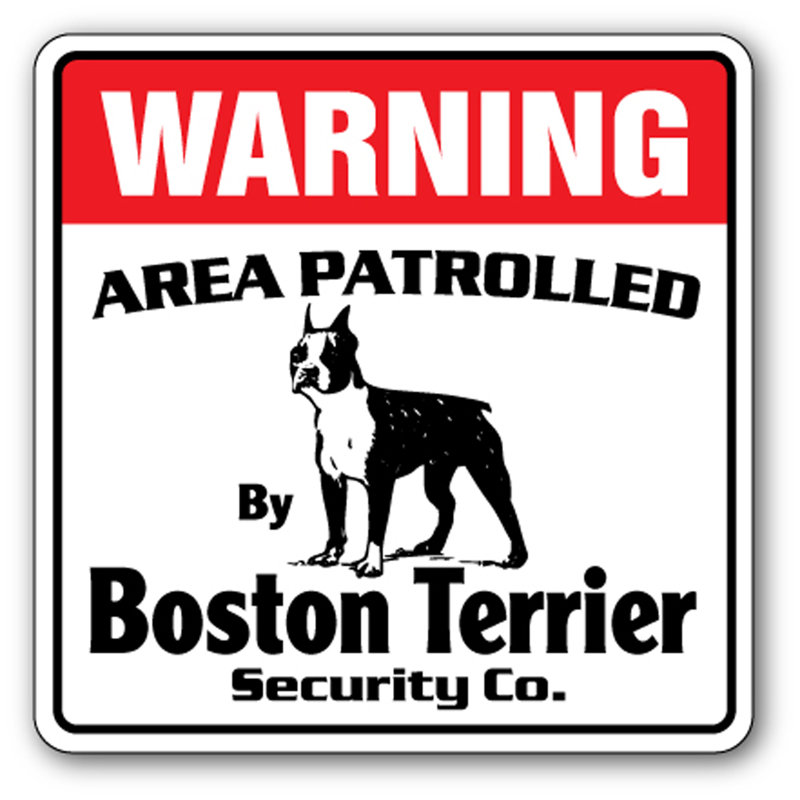 Panneau Asaph Beware of Boston Terrier, H 8 po x l 12 po x P 0,1 po