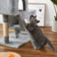 Arbre à chat Tucker Murphy™ Pet