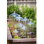 Glass Bell Jar