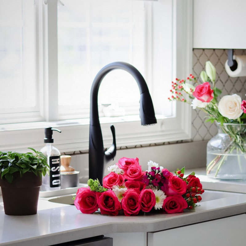 Lulani Kauai Pull Down Single Handle Kitchen Faucet, Matte Black