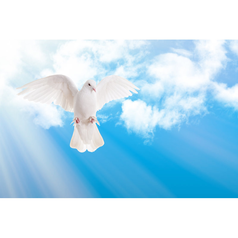 Dove and Sky 520860673, 81cm H x 122cm W
